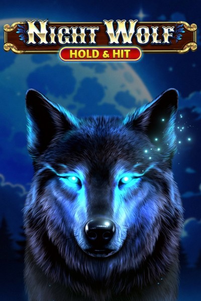 Copertina della slot Night Wolf - Hold & Hit nel catalogo di Casinova Casino